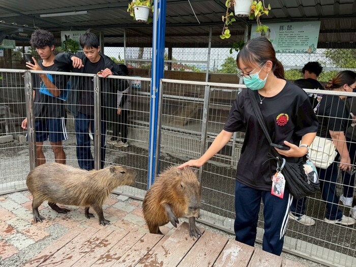畜保科訪犬貓舍4圖片