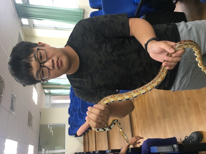 蛇我其誰~蛇類生態習性及保育圖片