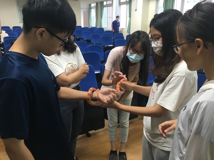 蛇我其誰~蛇類生態習性及保育圖片